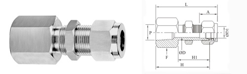 Stainless Steel Double Compression Bulkhead Female Connector Fitting Exporter Manufacturer