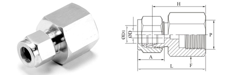 Stainless Steel Double Compression Female Connector (Metric)-Tube To Female ISO Parallel Thread Fitting Exporter Manufacturer