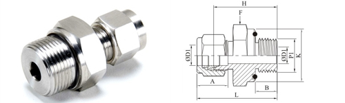 Stainless Steel Double Compression Male Connector-O-Seal Npt Tapered Thread Fitting Exporter Manufacturer