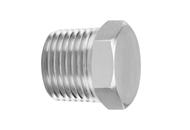 Stainless Steel High Pressure Pipe HEX PLUG-10K NPT Fittings Exporter Manufacturer